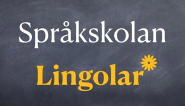 Lingolar Språkskola Sverige
