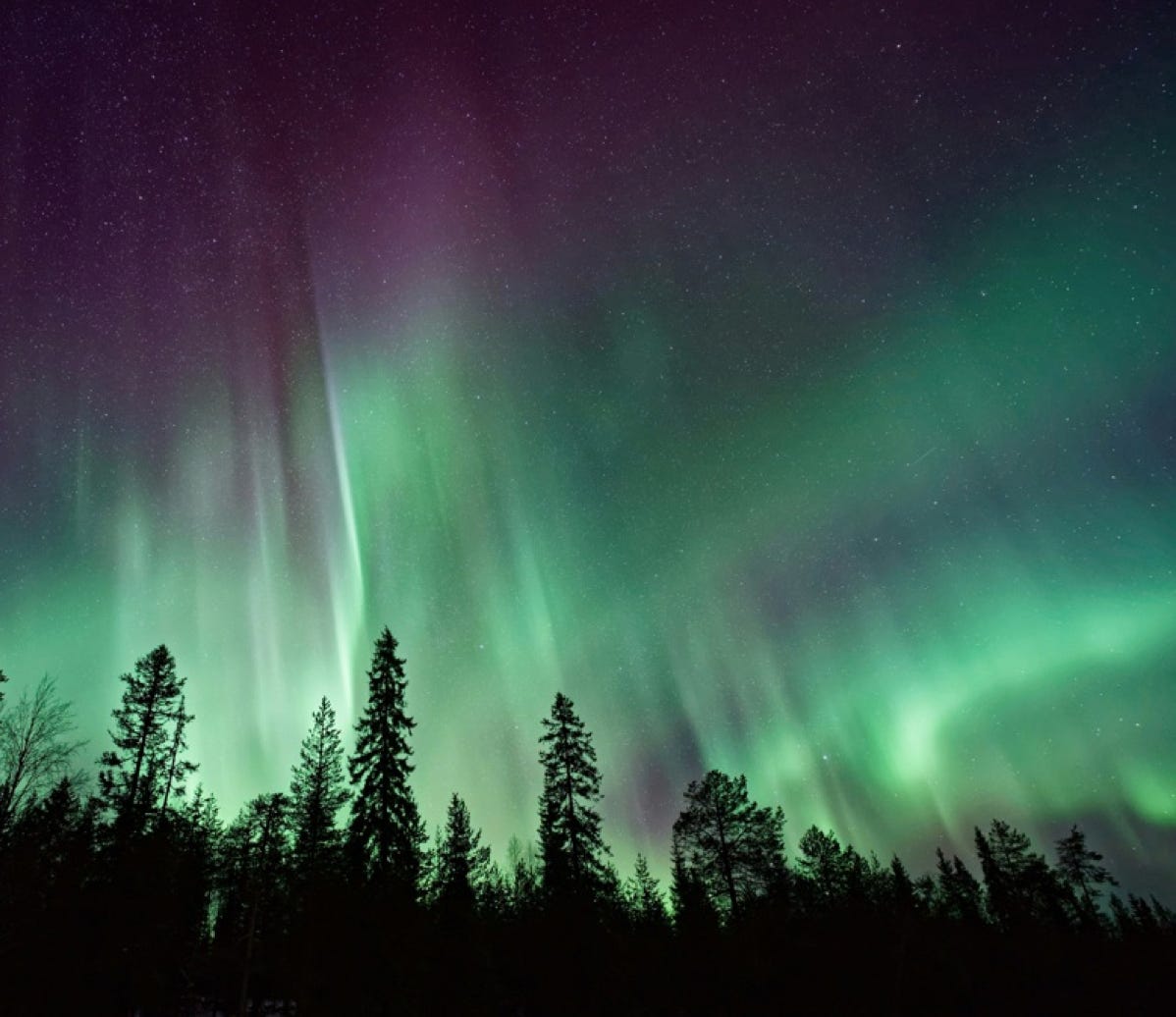 Lingolar Språkskolan, online kurser, språksemester, språktjänster, Titelbild Schweden